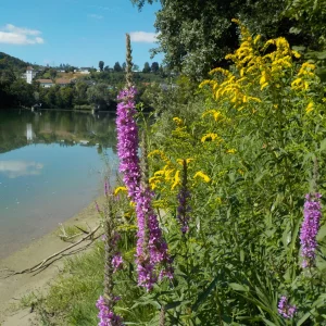 DSCN6450.webp