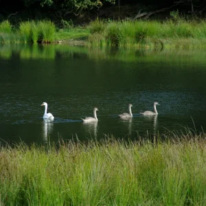 _IMGP9041k.webp
