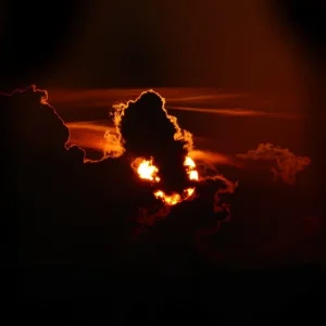 P1030618.webp