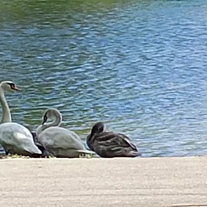 IMG_20240910_100731.webp