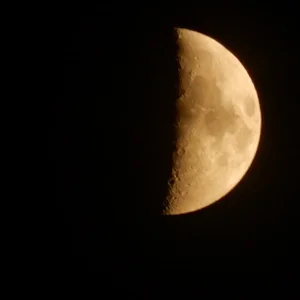 DSCN3619.webp