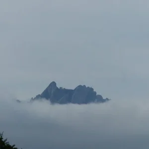 P1030621.webp