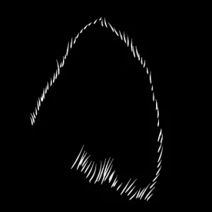 1726160003396.webp