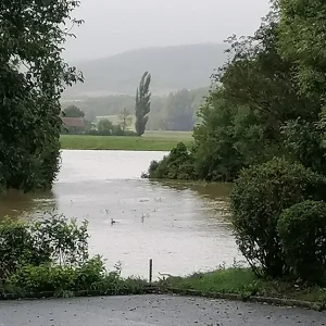 Wiese unter Wasser.webp