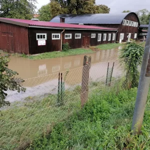 Versiegelte Fläche 2.webp