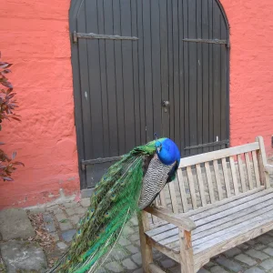 DSCN0314.webp