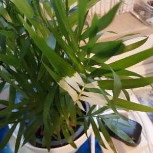 20241009_085224.webp
