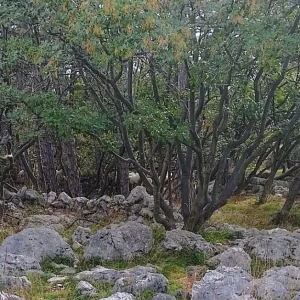 IMG_20241009_111022_HDR~3.webp