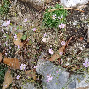 IMG_20241009_105946_HDR.webp