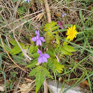 IMG_20241009_110000_HDR.webp
