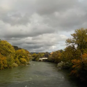 DSCN6547.webp