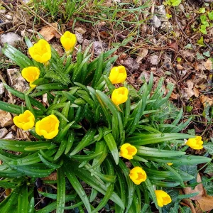 IMG_20241009_092915_HDR~3.webp