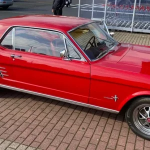 Mustang 66.2024.webp