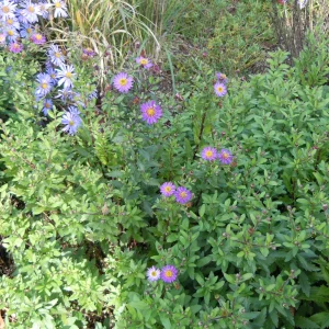 DSCN9999.webp