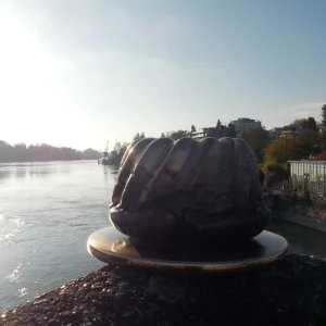 DSCN6608.webp