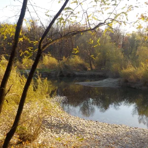DSCN6635.webp