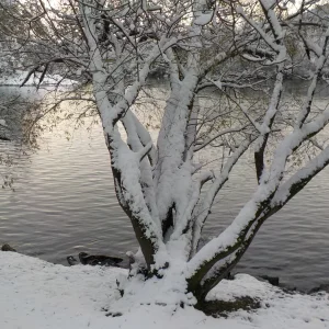 DSCN6676.webp