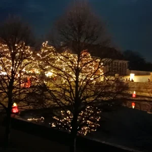 IMG_20241214_170910.webp