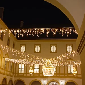 IMG_20241214_165629.webp