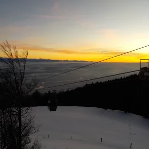 DSCN6732.webp