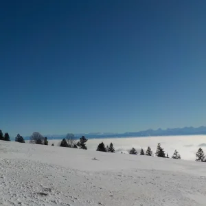 DSCN6743.webp