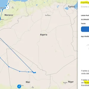 Frankie_30Dez2024_bei-Agadir-in-Marokko.webp