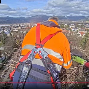 Kirchzarten_Nestreinigung_2025-01-29_14Uhr26.webp