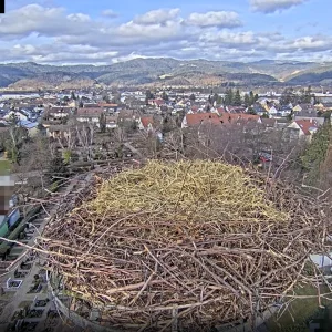Kirchzarten_Nestreinigung-fertig_2025-01-29_15Uhr04.webp