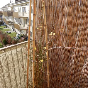 DSCN3673.webp