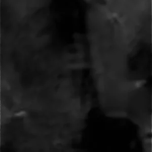 4C587A20-C667-4EED-B3F7-DA3D27DDB29B.webp
