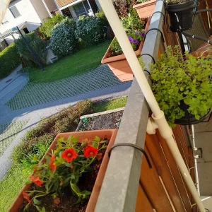 IMG_20250428_174917_HDR.webp