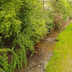 IMG_20250426_105659_HDR.webp
