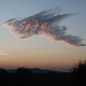 wolke 004.webp