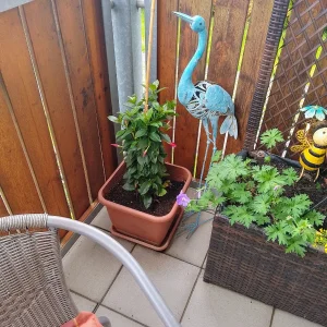 IMG_20250506_103724_HDR~2.webp