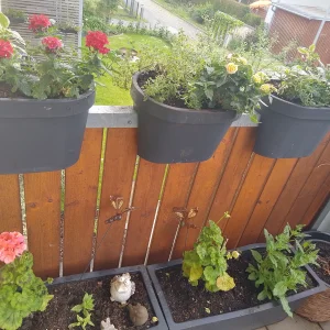 IMG_20250506_103516_HDR.webp