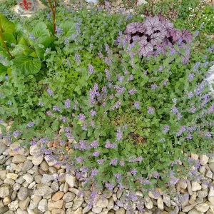 IMG_20250513_100213_HDR.webp