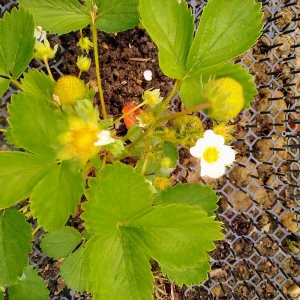 IMG_20250513_100408_HDR~2.webp