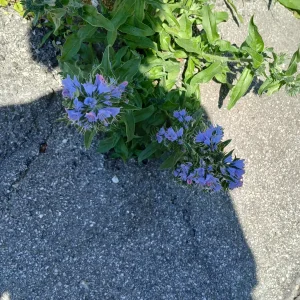 20250513_120704.webp