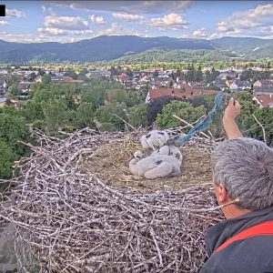 Kirchzarten_2025-05-16 17Uhr00-03 Müllentferung-durch-Bauhofmitarbeiter.webp