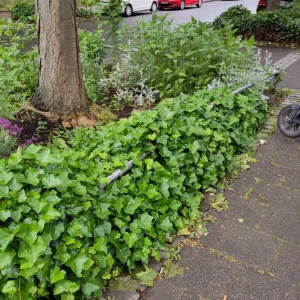 25052025-01.webp