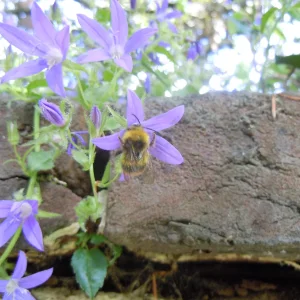 DSCN0044.webp