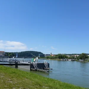 20250531_122219.webp