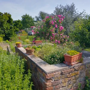 IMG_20250605_091811_HDR.webp