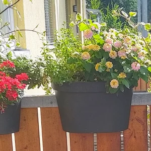 IMG_20250617_155836_HDR.webp