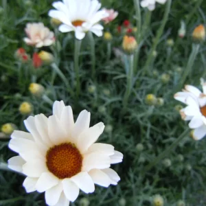 DSCN0024.webp