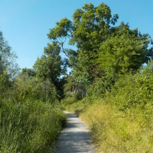 DSCN6804.webp