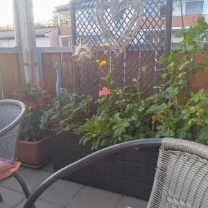 IMG_20250617_202925_HDR.webp