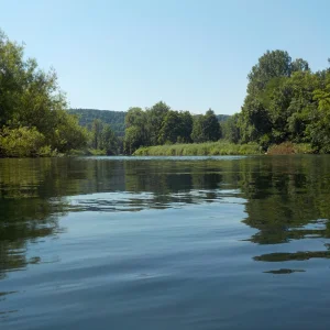 DSCN6826.webp