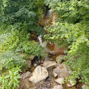 IMG_20250711_112441_HDR.webp