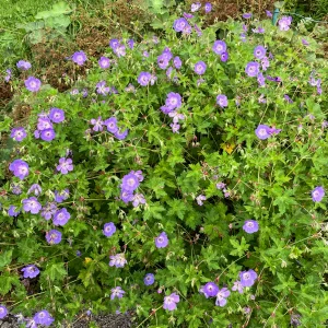 IMG_7475.webp